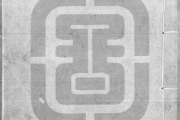 红楼梦.清.曹霑.高鹗撰.清乾隆五十六年苏州萃文书屋木活字本.程甲本.灰度胶片 PDF电子版下载