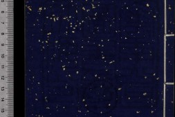 红楼梦.第22册.总一百二十回.清.曹霑撰.高鹗补.清乾隆五十七年程氏翠文书屋木活字本 PDF电子版下载