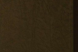 维摩诘所说经注.10卷.鸠摩罗什译.僧肇注序.明万历年径山刻嘉兴藏本 PDF电子版下载