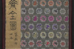 聊斋全图.第64册.清代绘本.奥地利国家图书馆藏 PDF电子版下载