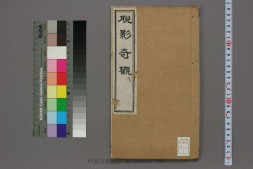 脱影奇观.上中下卷.英国德贞医士著.1873年刊 PDF电子版下载