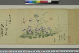 草花写生.狩野融川画 PDF电子版下载