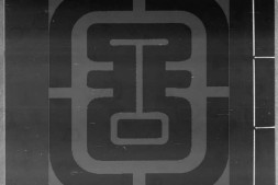 西洋番国志.明.巩珍撰.清代彭氏知圣道斋抄本.书号08104.灰度胶片 PDF电子版下载