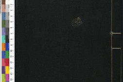 通志堂经解.046.清.纳兰成德编.书集传或问.二卷.宋.陈大猷.撰.清康熙时期刊本 PDF电子版下载