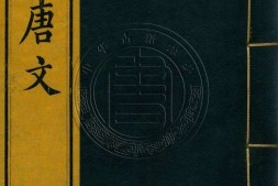 钦定全唐文.册001至025.一千卷.首四卷.清.董诰等辑.清嘉庆十九年武英殿刊本 PDF电子版下载