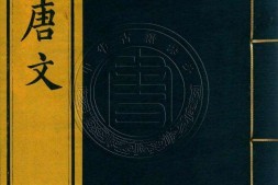 钦定全唐文.册026至050.一千卷.首四卷.清.董诰等辑.清嘉庆十九年武英殿刊本 PDF电子版下载