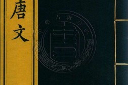 钦定全唐文.册076至100.一千卷.首四卷.清.董诰等辑.清嘉庆十九年武英殿刊本 PDF电子版下载