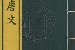 钦定全唐文.册101至125.一千卷.首四卷.清.董诰等辑.清嘉庆十九年武英殿刊本 PDF电子版下载