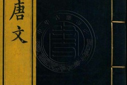 钦定全唐文.册151至175.一千卷.首四卷.清.董诰等辑.清嘉庆十九年武英殿刊本 PDF电子版下载