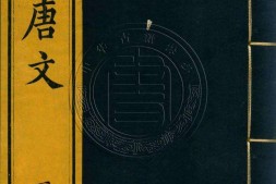 钦定全唐文.册176至200.一千卷.首四卷.清.董诰等辑.清嘉庆十九年武英殿刊本 PDF电子版下载
