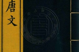 钦定全唐文.册201至225.一千卷.首四卷.清.董诰等辑.清嘉庆十九年武英殿刊本 PDF电子版下载