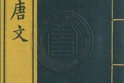钦定全唐文.册226至250.一千卷.首四卷.清.董诰等辑.清嘉庆十九年武英殿刊本 PDF电子版下载