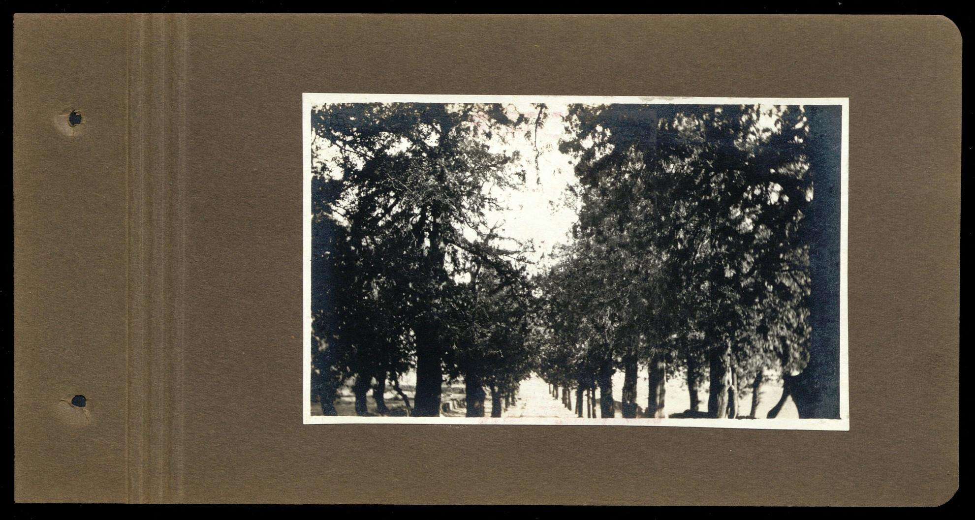 庄士敦的中国相册.Photograph album belonging to Sir Reginald Fleming Johnston ...