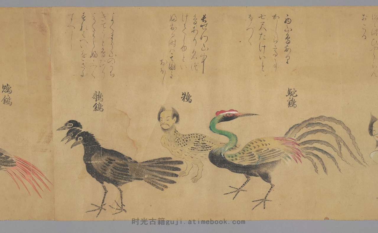 怪奇鸟兽图卷.高清.136080X3000像素.约绘制于日本江户时期.成城大学图书馆藏 PDF电子版下载 | 时光古籍