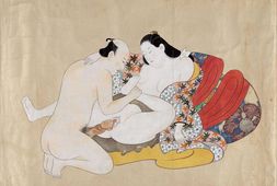 Erotic Contest of Flowers.鸟居清信绘.约17世纪.波士顿美术馆藏 PDF电子版下载