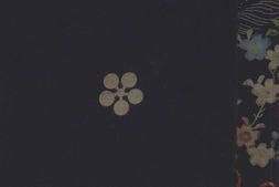 兵技指掌图说.清道光二十三年讷尔经额序.清绘本 PDF电子版下载