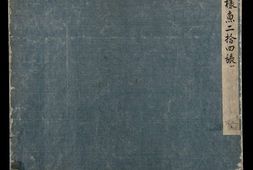 各样鱼图册.十二册.二百八十八幅.水粉.外销画.约1773-1776年 PDF电子版下载