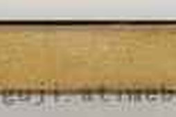 永乐大典.卷13340-13341.侍字等.豉字等.明嘉靖隆庆间内府重写本 PDF电子版下载