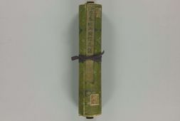 浴恩春秋両園.樱花谱.松平定信編.谷文晁原画 PDF电子版下载