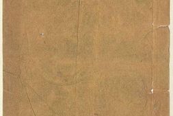 申江名胜图说.2册.光绪10年管可寿斋木刻本.1884年 PDF电子版下载