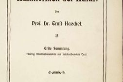 自然界的艺术形态.Kunstformen der Natur.2册.By Ernst Haeckel.德文版.超清图版.1904年 PDF电子版下载
