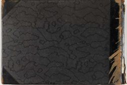 西湖风景.48幅.杭州二我轩照相馆摄.1911年 PDF电子版下载